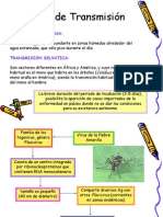 Fiebre Amarilla