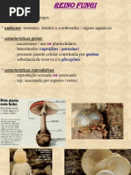 fungos