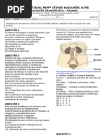 Teste Diagnostico 9 Ano