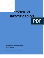 Informe Das Probas de Identificación