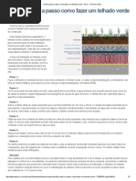 Confira Passo a Passo Como Fazer Um Telhado Verde - Geral - Folha Do Oeste