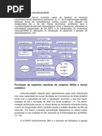 Mecanismos de Neurotoxicidade