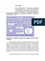 Mecanismos de Neurotoxicidade