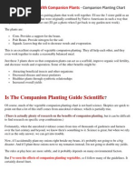 Compainion Planting Increases Garden Yields