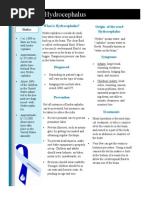 Lindsey Allen Hydrocephalus Fact Sheet