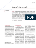 Rehabilitacion en El Niño Quemado PDF