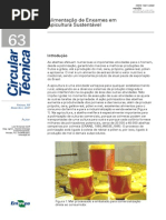 alimentação de enxames em apicultura sustentavel