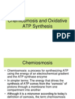 6.1 Chemiosmosis and Oxidative ATP Synthesis