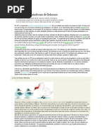 La envidia y el síndrome de Solomon