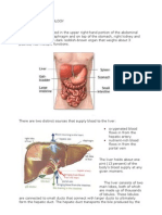 Anatomy and Physiology-Liver