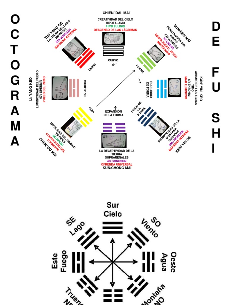 Octograma de Fushi y Meridianos Chinos | PDF | Ciencias sociales