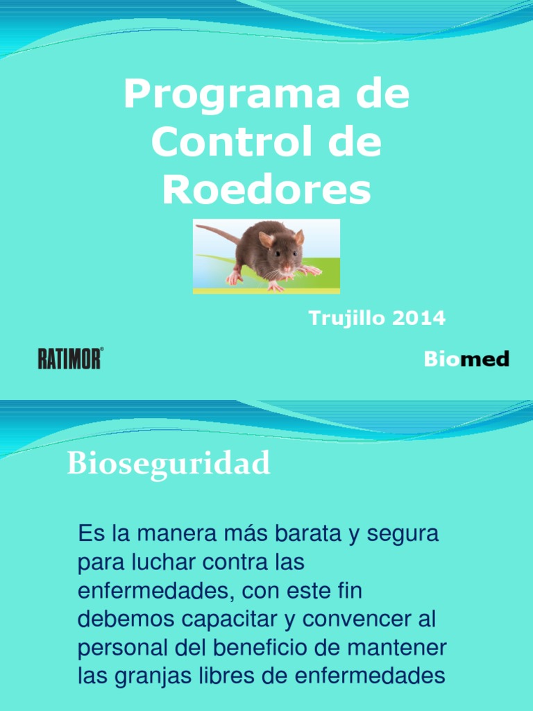 Control Integral de Roedores en Granjas | PDF | Rata | Roedor