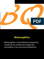 1_Bioenergetica