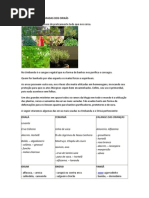 FOLHAS E ERVAS SAGRADAS DOS ORIXÁS