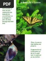 Download BUTTERFLY  by IMM SN2059742 doc pdf