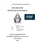 Biologi Molekuler - Metabolisme (Translokasi Material)