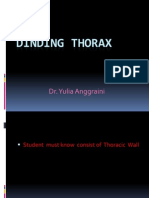 Dinding Thorax