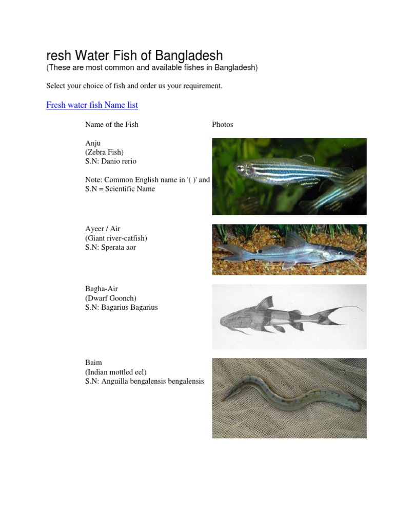 Freshwater Fish Names in Bangladesh | PDF