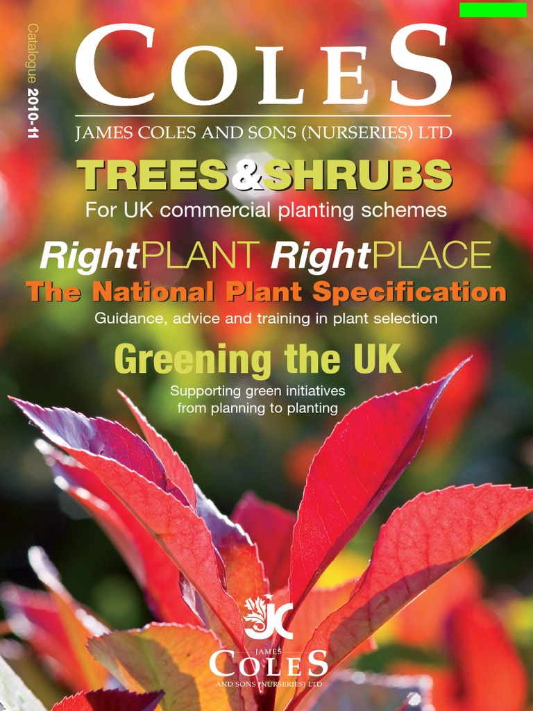 Coles Nursery Plant Nursery Trees