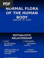 Download NORMAL FLORA OF THE HUMAN BODY by shahbaz SN2060212 doc pdf