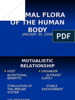 Normal Flora of The Human Body