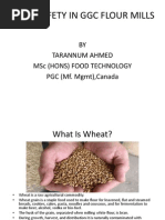 Download Flour Mills Safety by Kriston Edward SN206037435 doc pdf