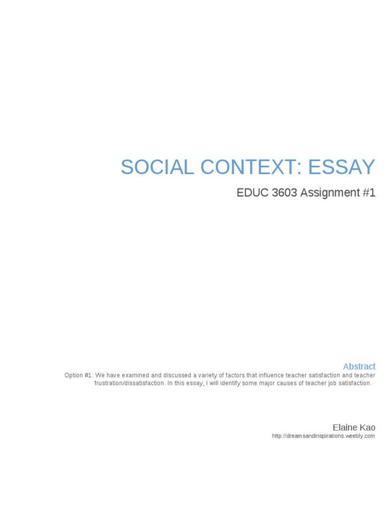 what is social context essay