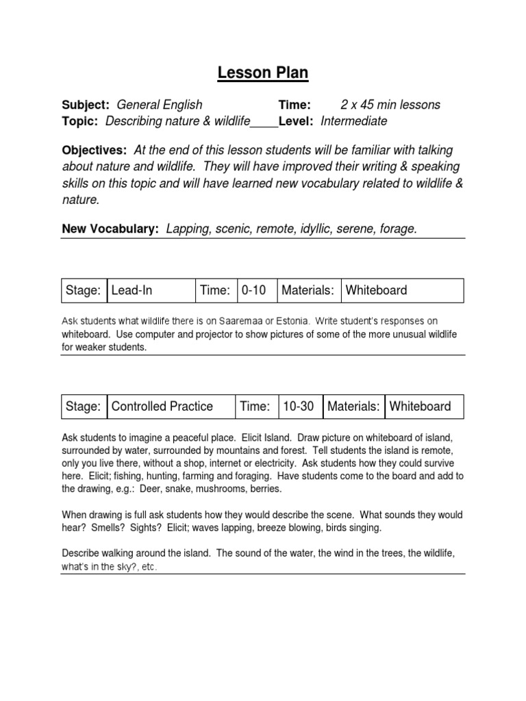 Lessonplangeneralenglish | PDF