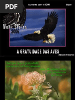 A Gratuidade das Aves