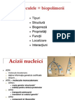 Curs 1 Acizi Nucleici. Proteine