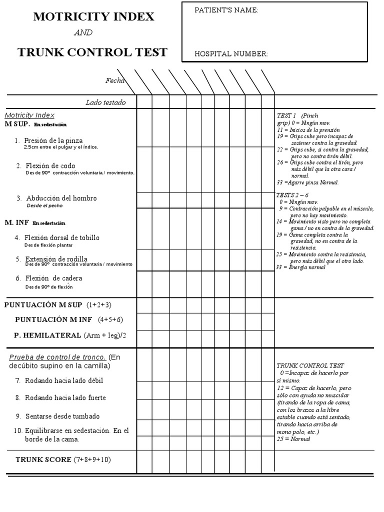 Test de Control de Tronco y Motricidad | PDF | Ciencia y matemáticas