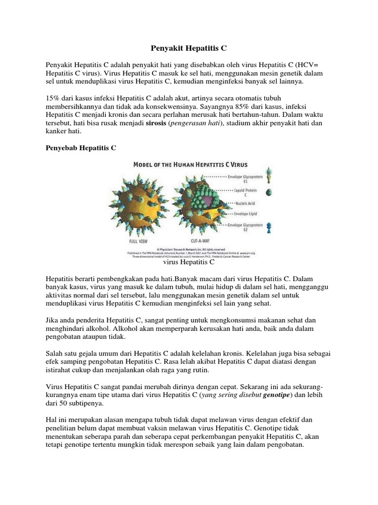 Hepatitis C Pdf