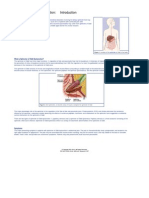 Sphincter of Oddi Dysfunction