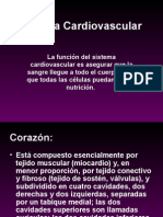 Sistema Cardiovascular