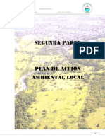 2 Plan Acci n Ambiental Local Saravena[1]