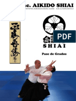 Aikido Shiai Pase de Grados