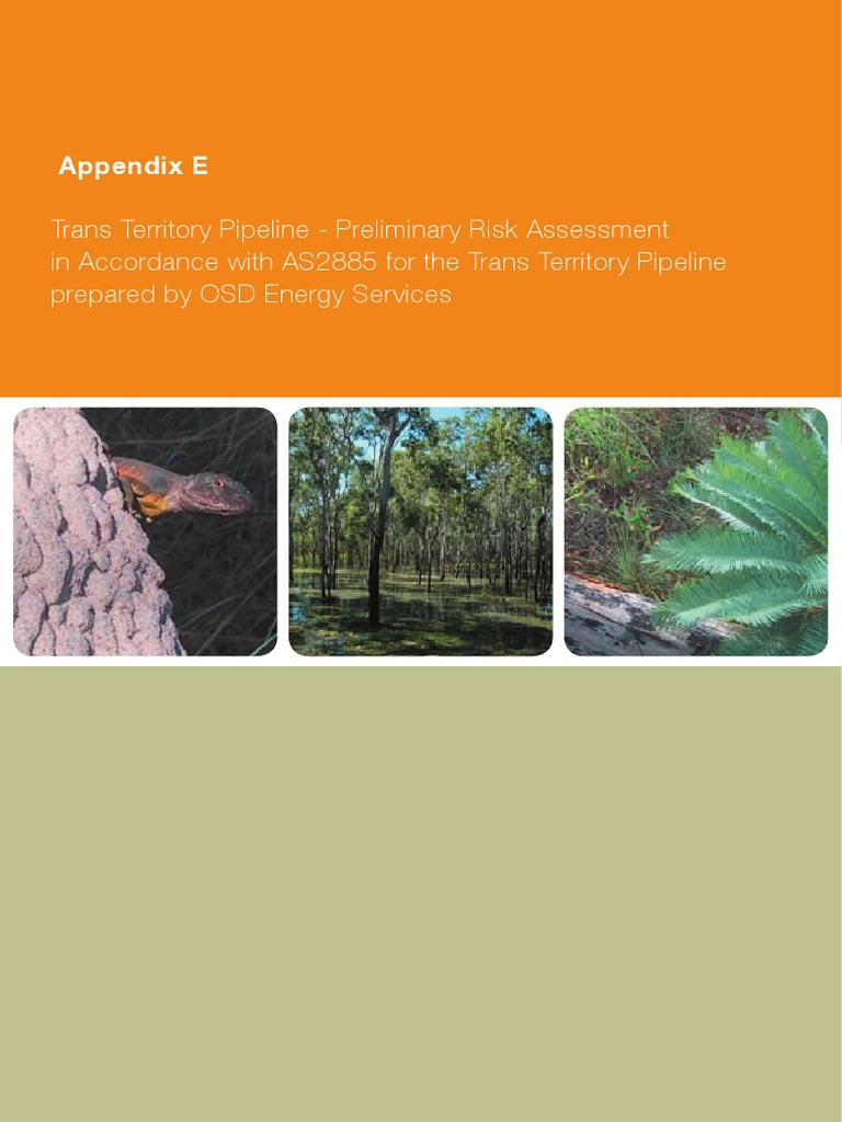 RISK Assessment AS2885 Pipeline | PDF | Pipeline Transport | Risk ...