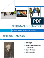 Património Genético (Interacção génica, Cristas de Galinhas)