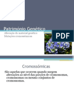 Património Genético (Mutações Cromossómicas)