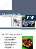 Património Genético (Mutações génicas)