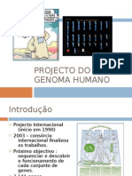 Projecto Do Genoma Humano