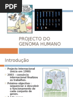 Projecto Do Genoma Humano