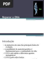 Reparar o DNA