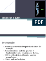 Reparar o DNA