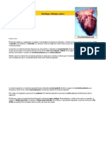 Morfología y Fisiología Cardíaca