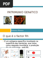 Sistema Rhesus
