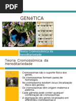 Teoria Cromossómica