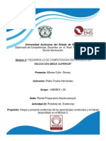 Portafolio de Evdencia Modulo2 Martin PDF