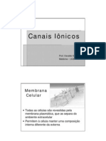 Canais Ionicos