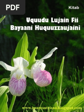 Orgiyadagi talabalarning porno videolari